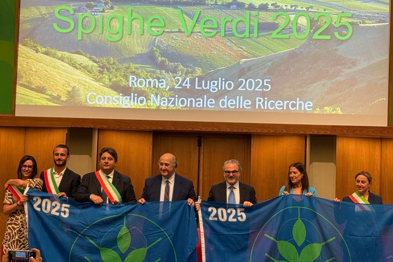 Bandiera Spighe Verdi 2025