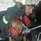 I vigili del fuoco salvano un cane randagio caduto accidentalmente in un pozzo