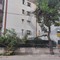 Caduto ramo di pino in via Di Vittorio a Bisceglie