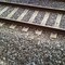 Traffico ferroviario sospeso sulla linea adriatica per investimento