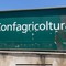 Intervista a Giuseppe di Niso, dirigente di Confagricoltura Bari-Bat su Emergenza Xylella