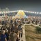 "TrùFest", a Bisceglie la seconda edizione del festival del Trullo Verde