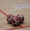Lions Bisceglie in crescita  nell’amichevole con Corato