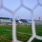 Festa del calcio giovanile pugliese, Bisceglie sede delle finali U17 e U15: si gioca l’11 maggio