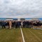 Il nuovo manto erboso sintetico allo stadio “Ventura” è realtà, il 2 marzo la prima gara ufficiale