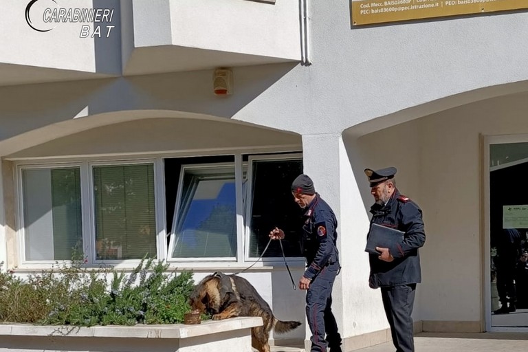 Bisceglie, controllo antidroga dei carabinieri all'istituto Cosmai con l'ausilio di un'unità cinofila