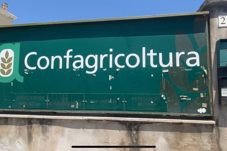 Confagricoltura Bisceglie. <span>Foto Serena De Musso</span>