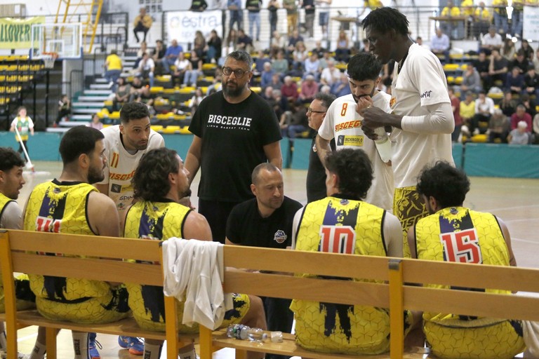 Lions Bisceglie. <span>Foto Patrizia Pruneti / Costone Siena</span>