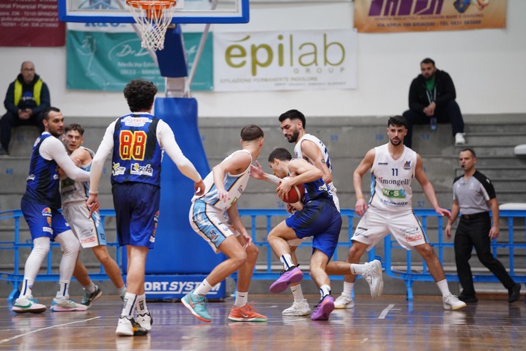 Lions Bisceglie - Dinamo Brindisi. <span>Foto Paola Selicato</span>