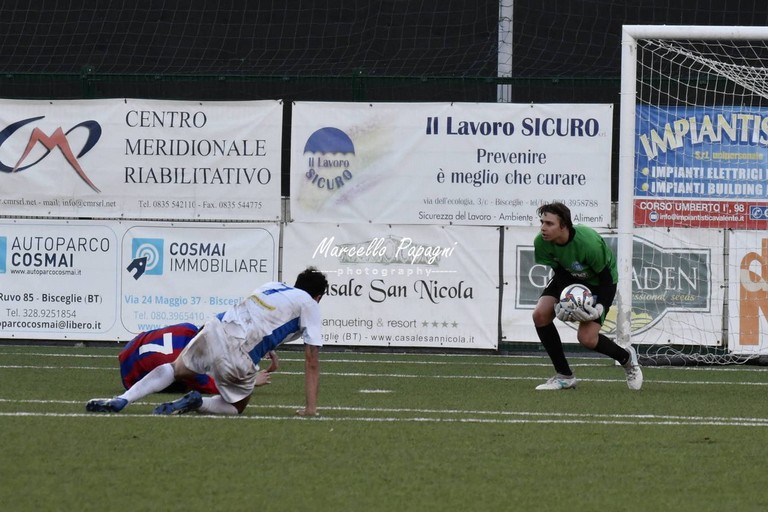 Il portiere Di Bari. <span>Foto Marcello Papagni</span>