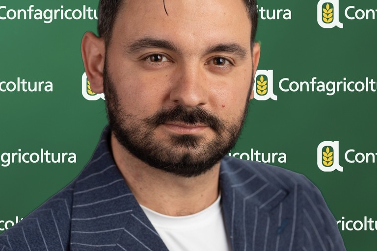 Di Niso