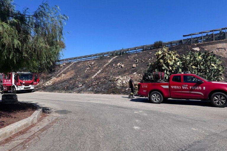 Incendio di sterpaglie e rifiuti in via Vecchia Corato
