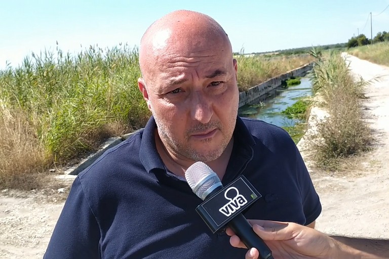 Filippo Caracciolo