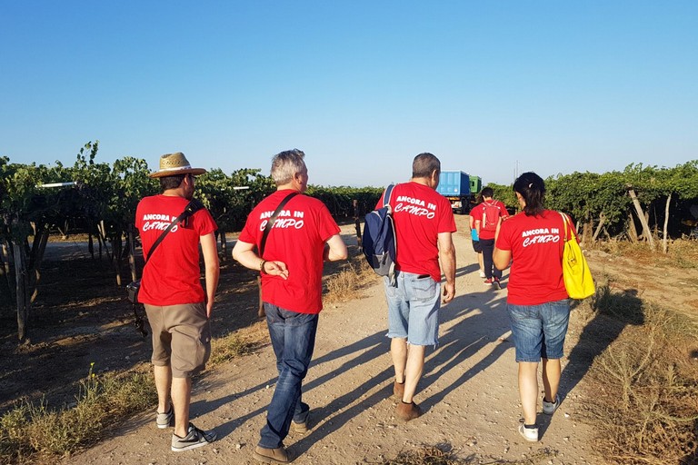 Flai Cgil ancora in campo