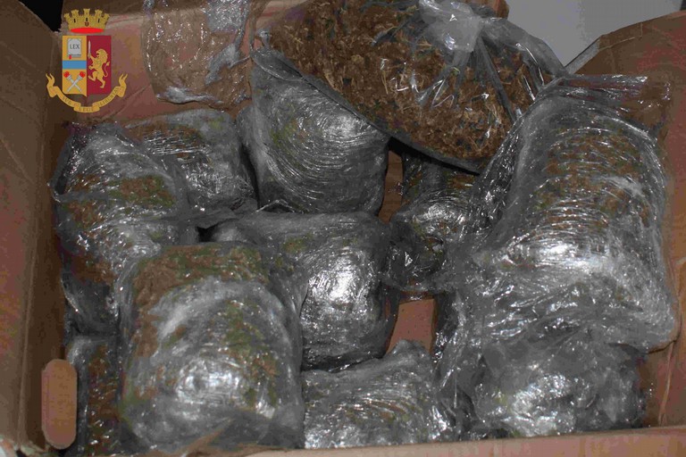 Marijuana sequestrata dalla Polizia di Stato