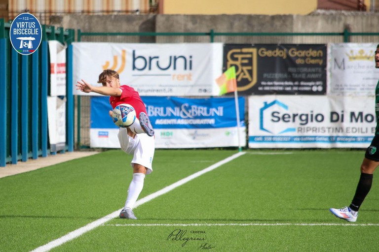 Francesco De Cilllis, Virtus Bisceglie. <span>Foto Cristina Pellegrini</span>
