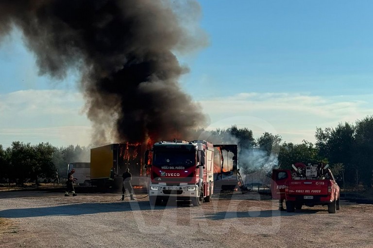 Incendio vivaio. <span>Foto Mattia Dell'Orco</span>