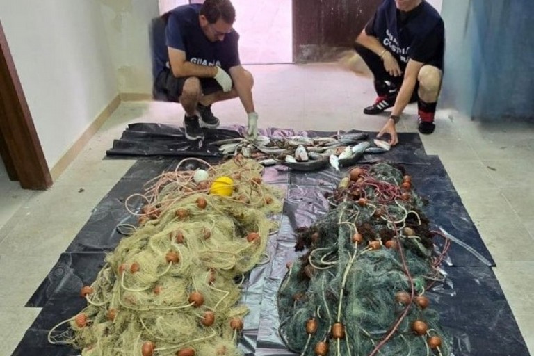 pesca illegale