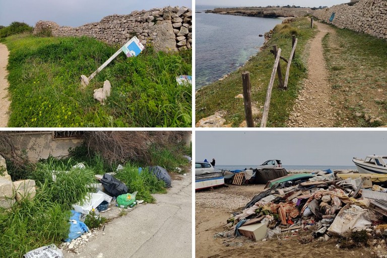 Segnalazioni da parte di Pro Natura