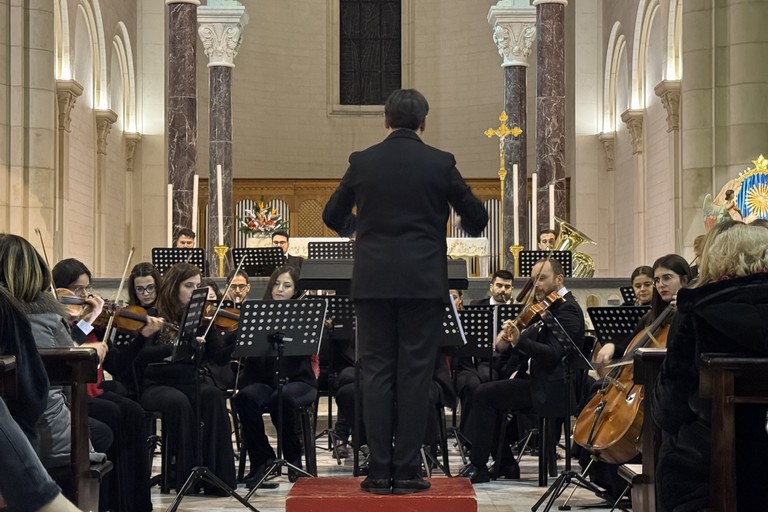 Orchestra Federiciana