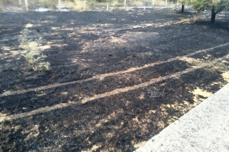 Incendio in una campagna in zona Seminario