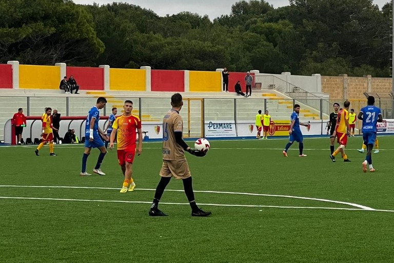 Unione Calcio Bisceglie. <span>Foto Alessio Negrè</span>