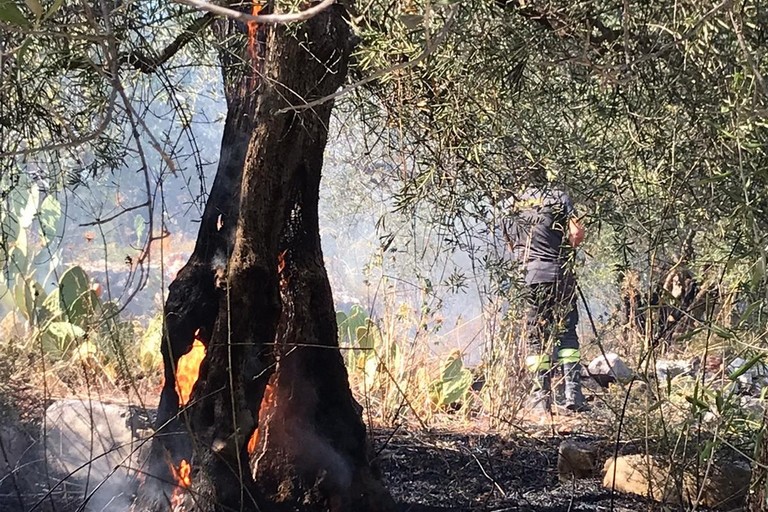 Incendio nei pressi delle grotte del Finestrino