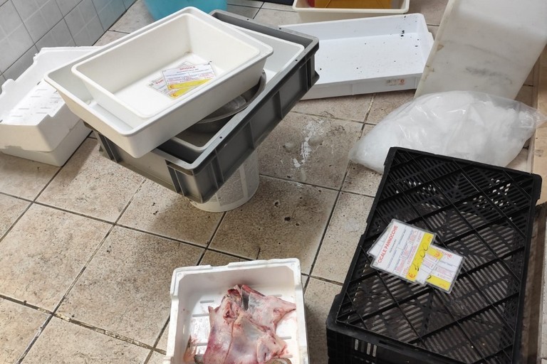 Intensificati i controlli amministrativi su ristorazione e commercio ittico