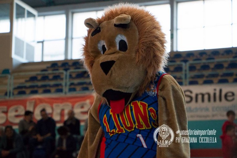 Lion King, mascotte della Di Pinto Panifici Bisceglie. <span>Foto Graziana Ciccolella</span>