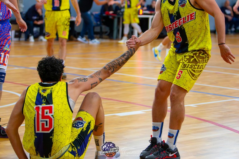 Lions. <span>Foto Cristina Pellegrini</span>