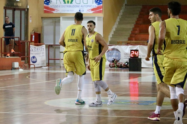 Lions Basket Bisceglie