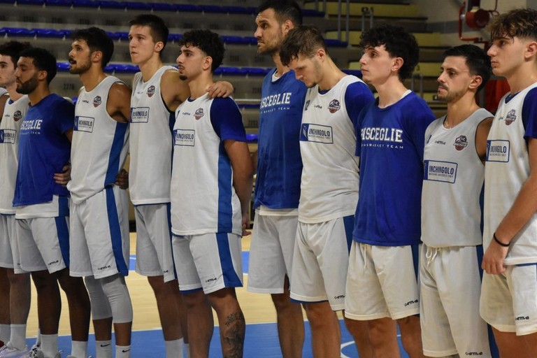 Lions Basket Bisceglie