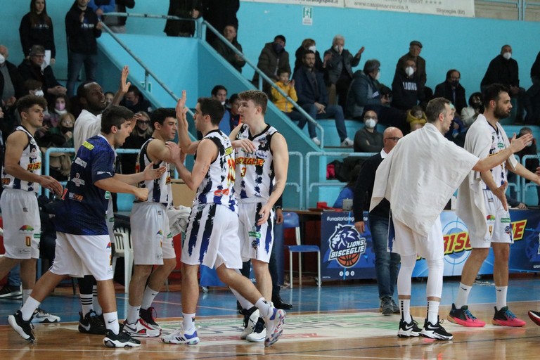 Lions Bisceglie. <span>Foto Cristina Pellegrini</span>