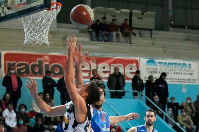 Lions Bisceglie-Monopoli. <span>Foto Cristina Pellegrini</span>