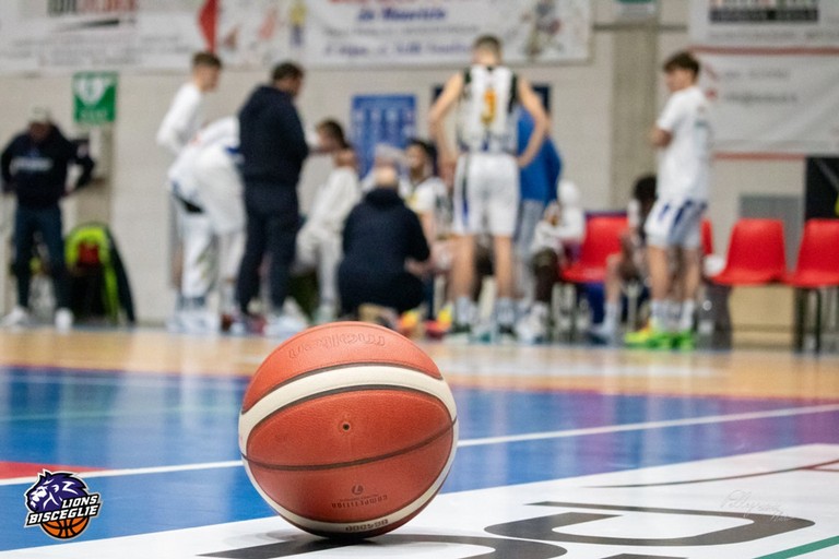 Pallone da Basket. <span>Foto Cristina Pellegrini</span>