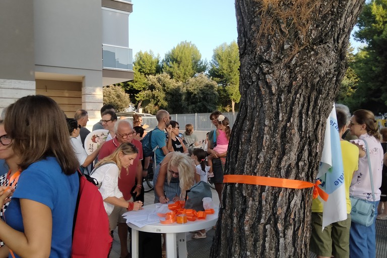 Manifestazione contro l'abbattimento dei pini in via Di Vittorio. <span>Foto Serena De Musso</span>