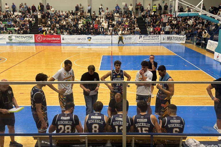 Lions, un timeout di coach Vito Console