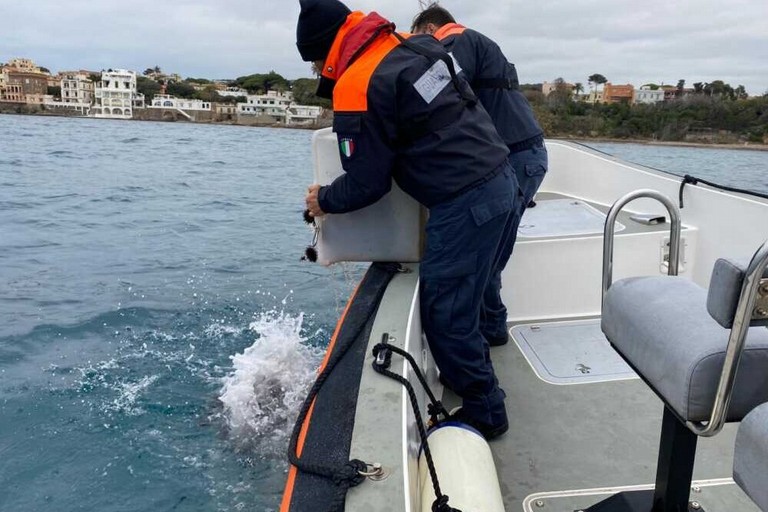 Maxi sequestro di ricci di mare a Santa Marinella