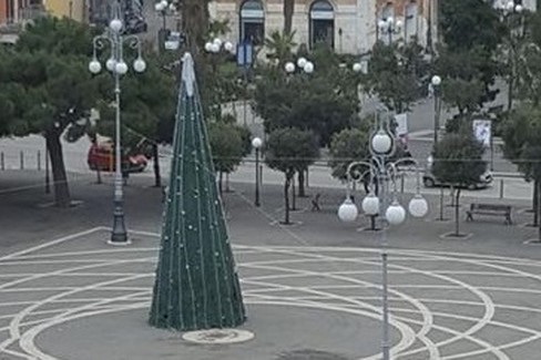 Albero di Natale in piazza Vittorio Emanuele. <span>Foto Vito Troilo</span>