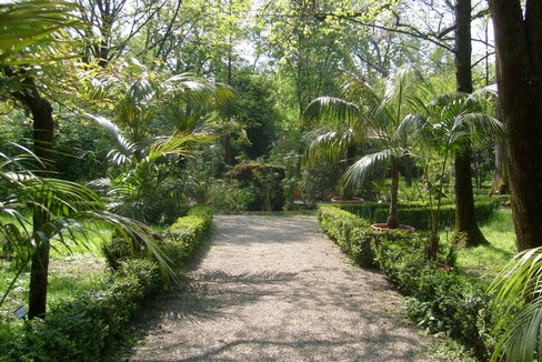 Angolo verde