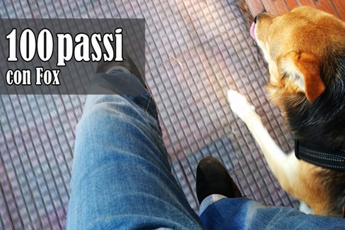 100 passi con Fox