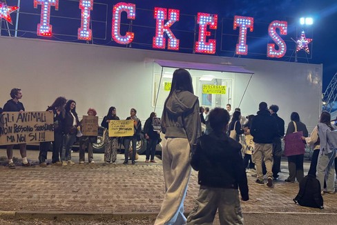 Presidio anti-circo: i circensi «Non sanno di che parlano, le accuse sono infondate». Sui cartelli: «Animali da circo non artisti ma vittime»