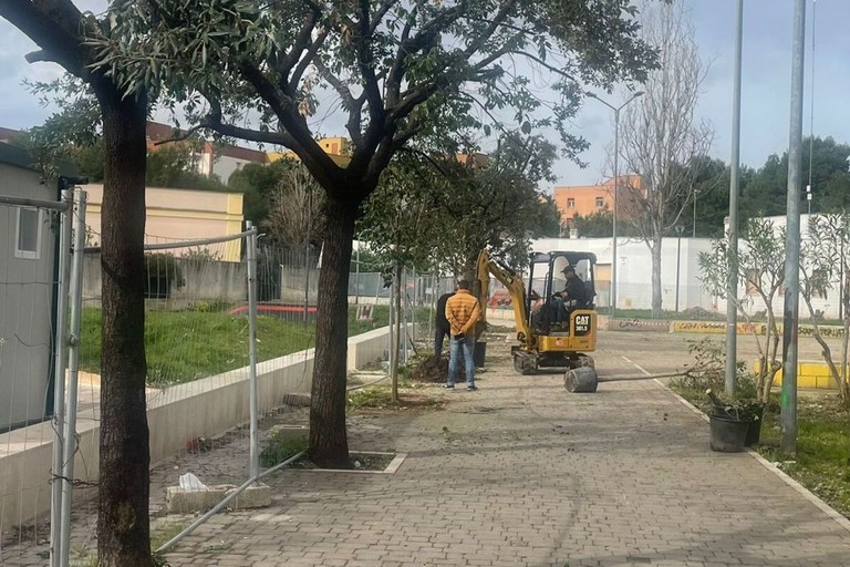 nuove piantumazioni piazza don milani