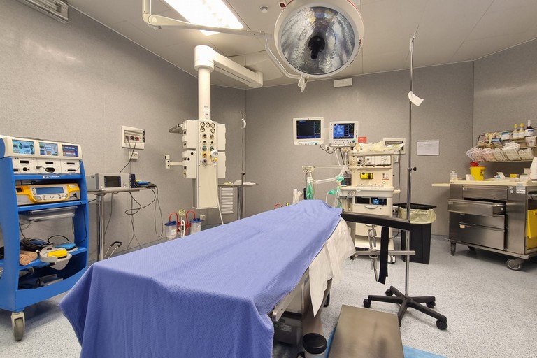 Neonato muore durante il parto, ginecologa condannata a 10 mesi