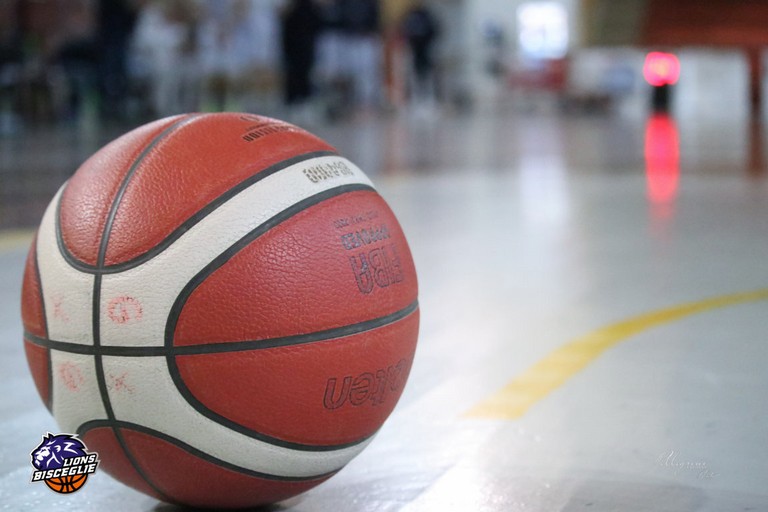 Pallone da Basket. <span>Foto Cristina Pellegrini</span>