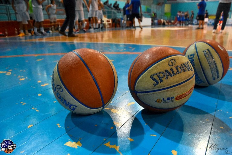 Palloni di basket (repertorio). <span>Foto Cristina Pellegrini</span>