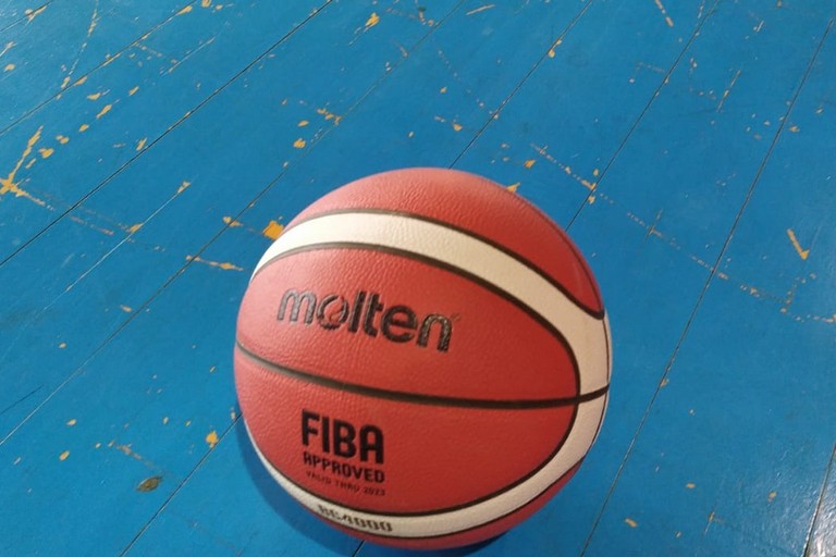 Pallone da basket (repertorio). <span>Foto Vito Troilo</span>