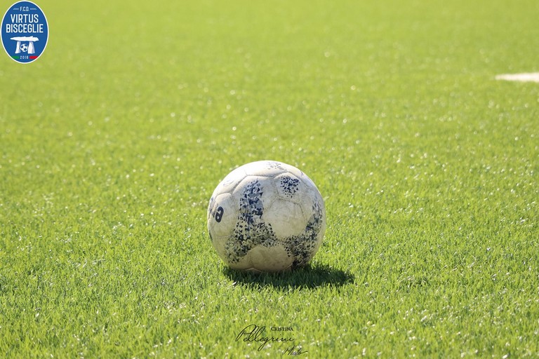 Pallone da calcio. <span>Foto Cristina Pellegrini</span>