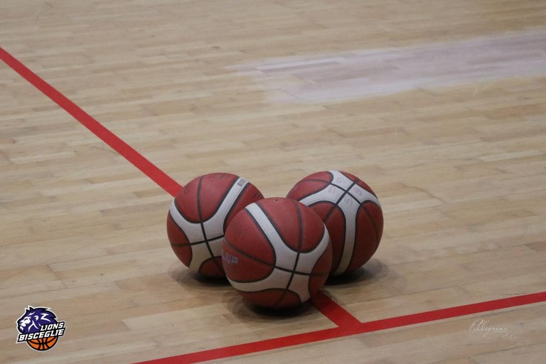 Pallone da Basket. <span>Foto Cristina Pellegrini</span>