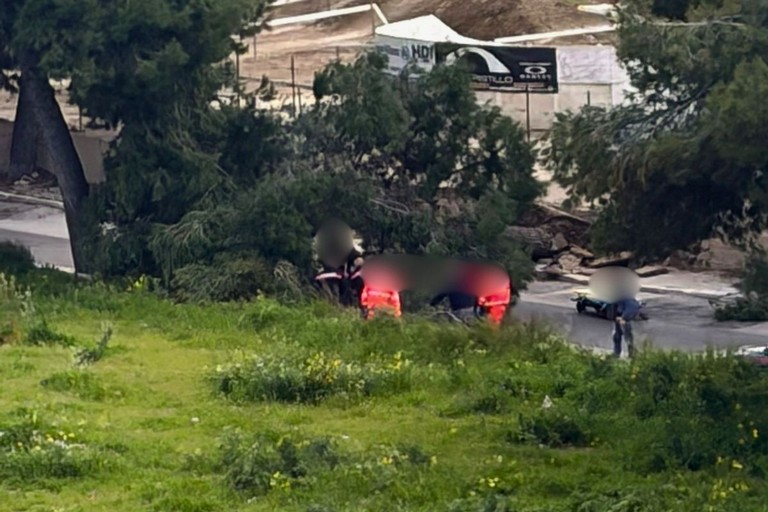 12enne morta schiacciata da un albero a Bisceglie